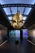 museum voor natuurwetenschappen brussel 11-2022 5637